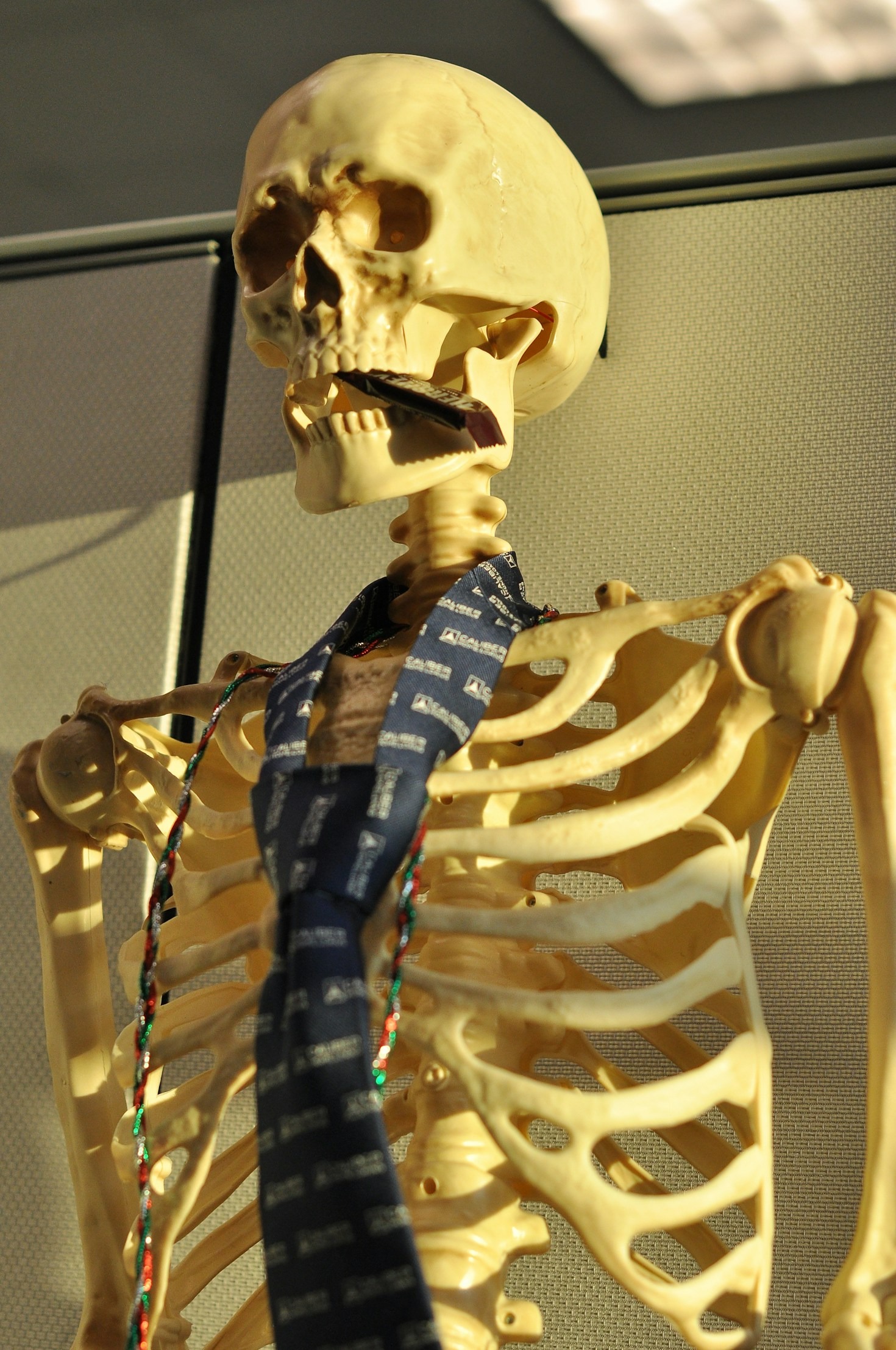 Navigating Life’s Curveballs: ALS Edition