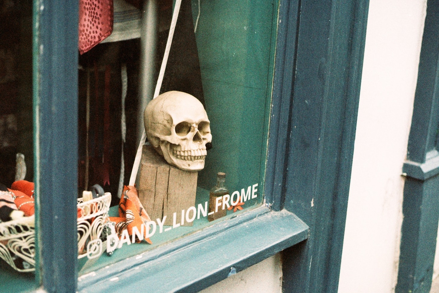 Reflections from the Edge: Living with ALS